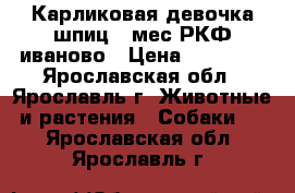 Карликовая девочка шпиц 4 мес РКФ иваново › Цена ­ 25 000 - Ярославская обл., Ярославль г. Животные и растения » Собаки   . Ярославская обл.,Ярославль г.